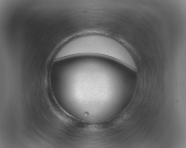 X0000083530064200702090731