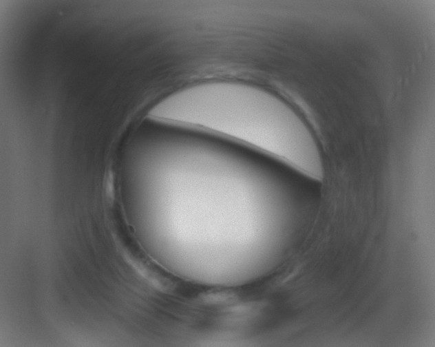 X0000083530067200702090731