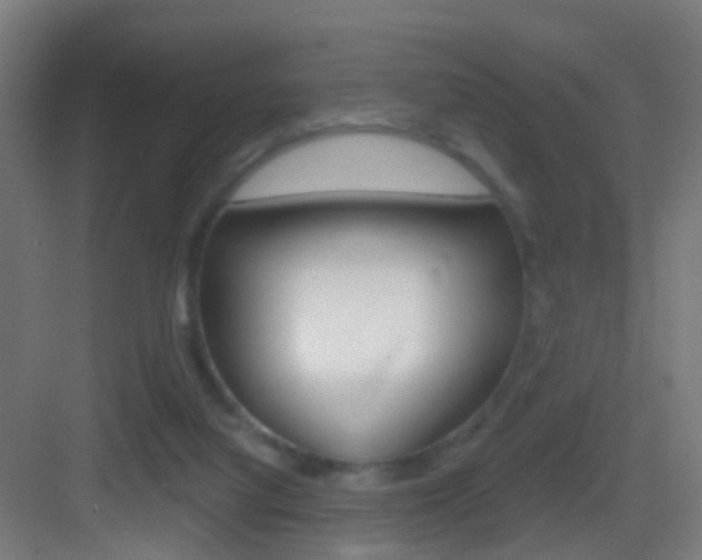 X0000083530068200702090731