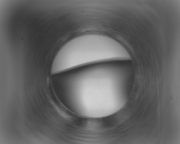X0000083530070200702090731