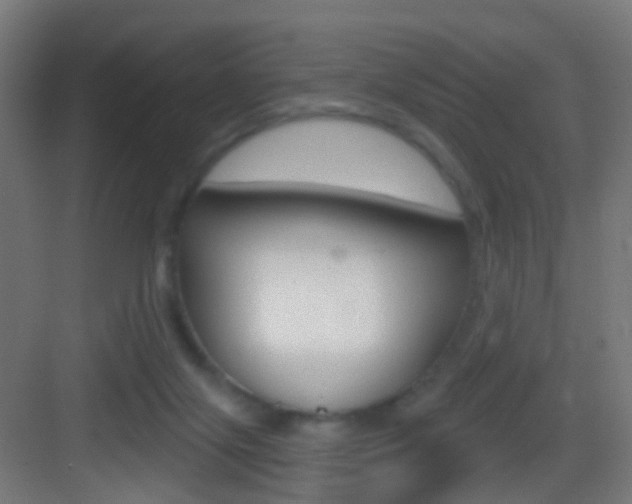 X0000083530071200702090731