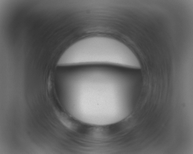 X0000083530074200702090731