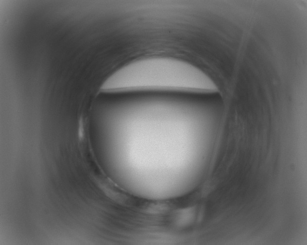 X0000083530075200702090731