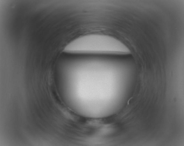 X0000083530079200702090731