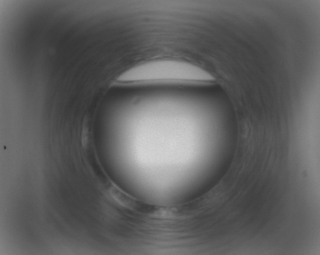 X0000083530080200702090731