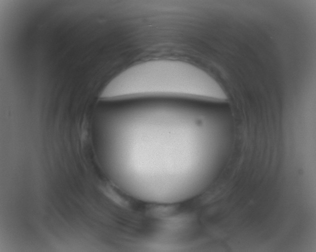 X0000083530081200702090731