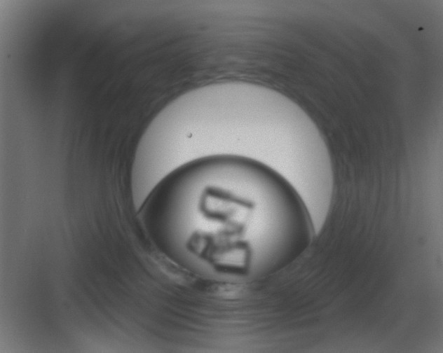 X0000083530088200702090731