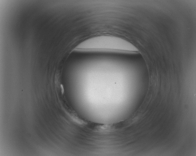 X0000083530092200702090731