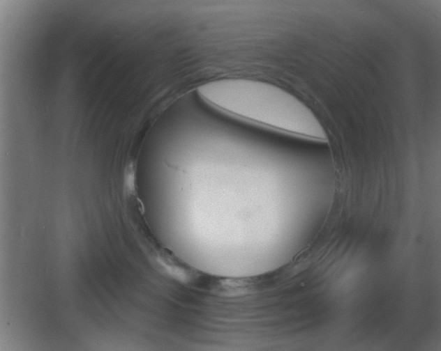 X0000083530095200702090731