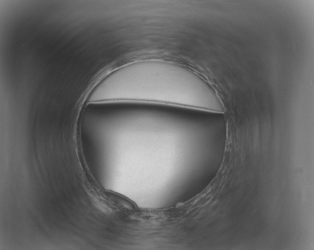 X0000083530099200702090730