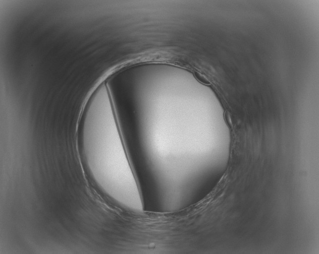 X0000083530100200702090730