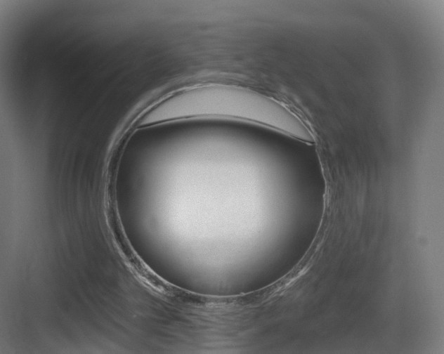 X0000083530101200702090730
