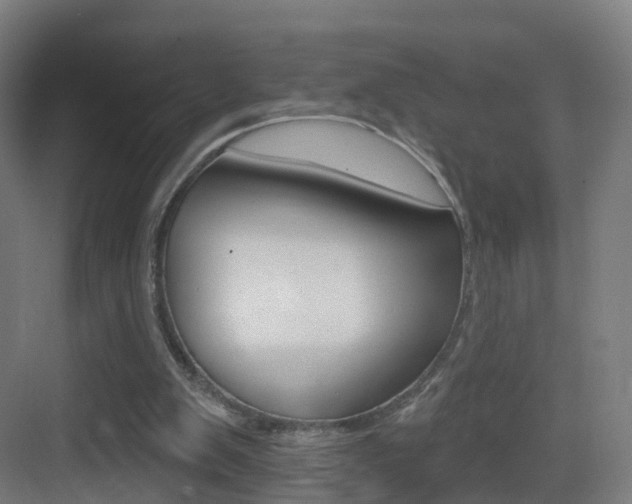 X0000083530103200702090730