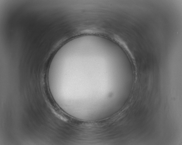 X0000083530106200702090730