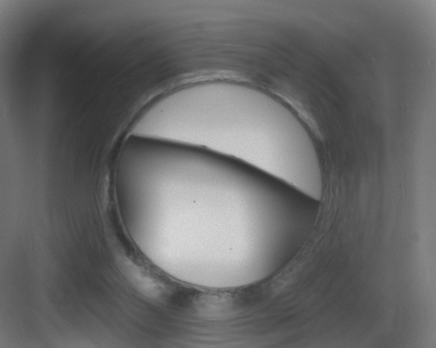 X0000083530110200702090730