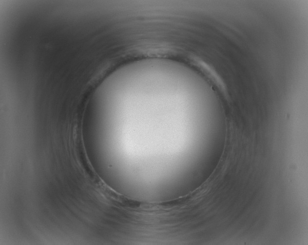 X0000083530113200702090730