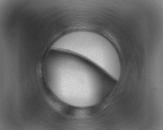 X0000083530115200702090730