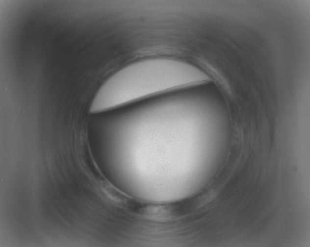 X0000083530117200702090730