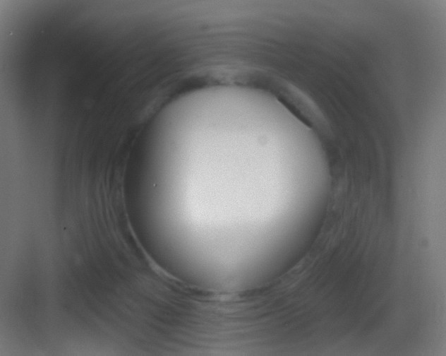 X0000083530121200702090730
