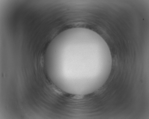 X0000083530138200702090730