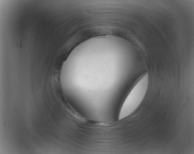 X0000083530141200702090730