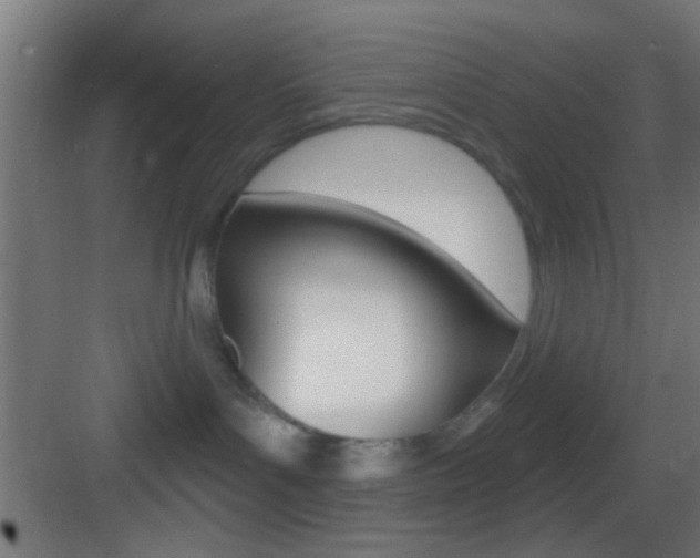 X0000083530143200702090730