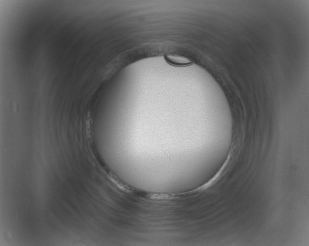 X0000083530144200702090730