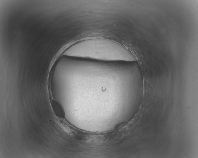 X0000083530147200702090729