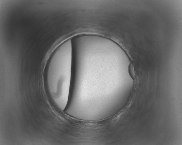 X0000083530151200702090729