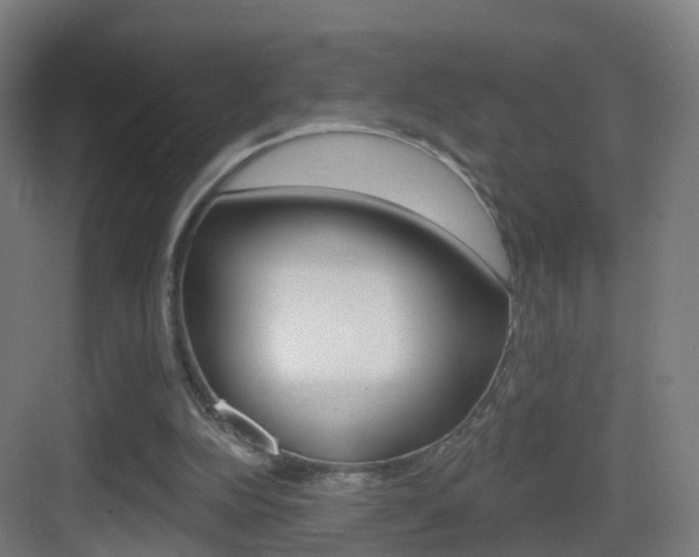 X0000083530152200702090729