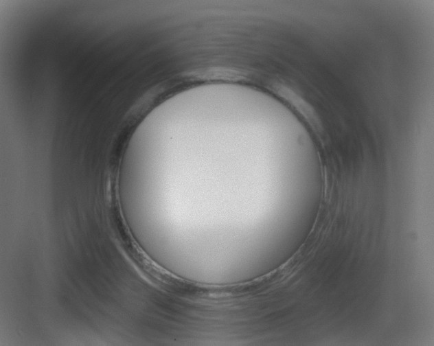 X0000083530157200702090729