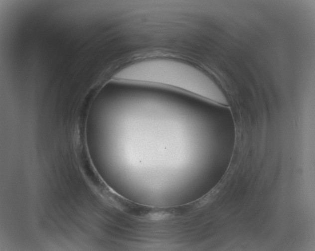X0000083530158200702090729