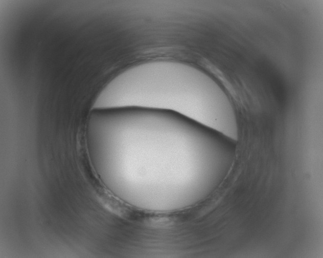 X0000083530161200702090729