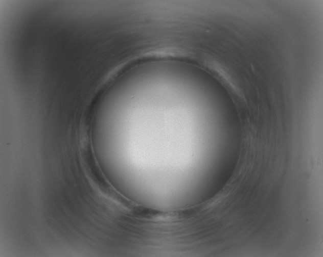 X0000083530164200702090729