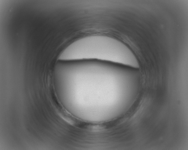 X0000083530165200702090729
