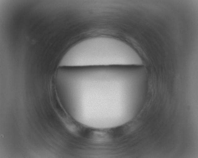 X0000083530167200702090729