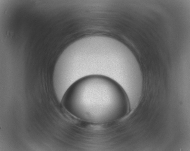 X0000083530170200702090729