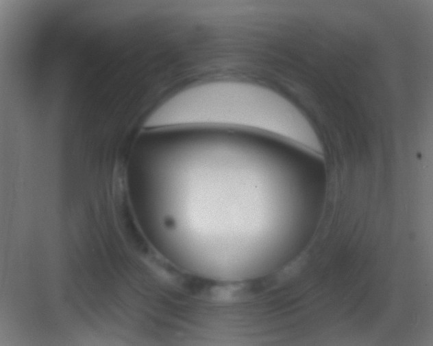 X0000083530172200702090729