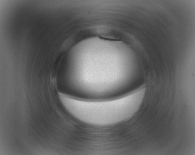 X0000083530176200702090729