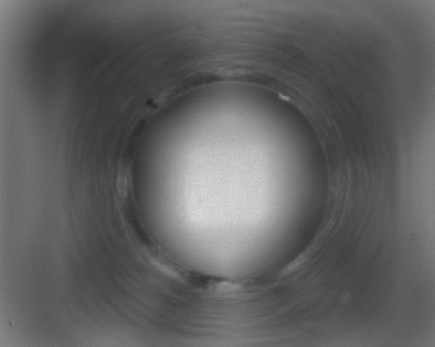 X0000083530180200702090729