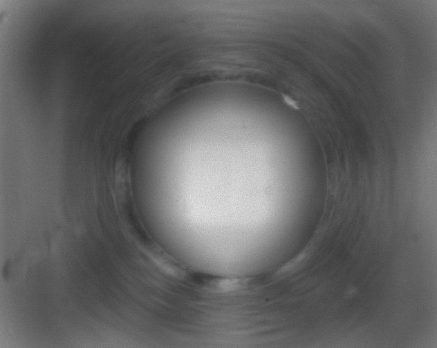 X0000083530184200702090729