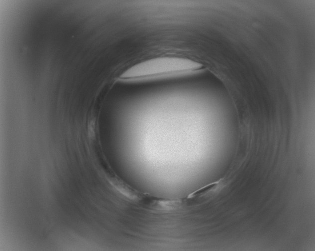 X0000083530188200702090729
