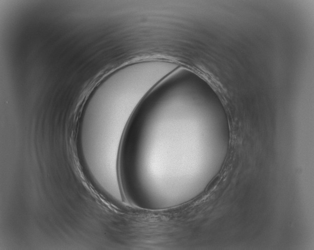 X0000083530193200702090729