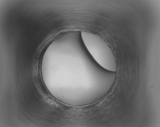 X0000083530194200702090729