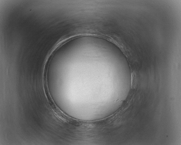 X0000083530195200702090729