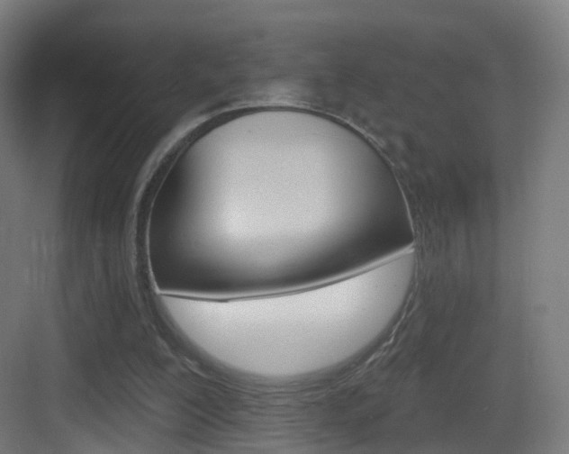 X0000083530200200702090729