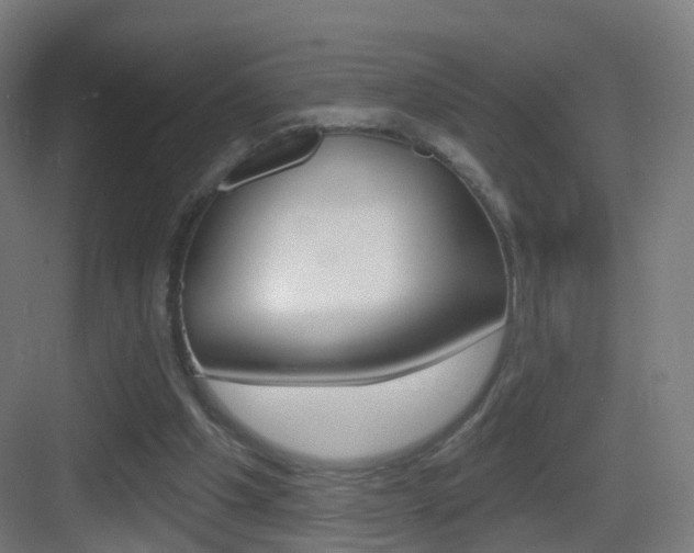 X0000083530201200702090729
