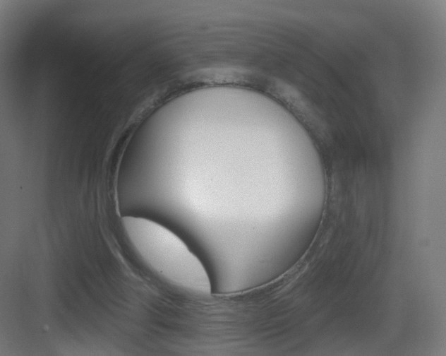 X0000083530202200702090729
