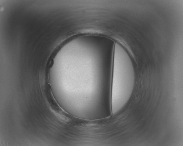 X0000083530204200702090729