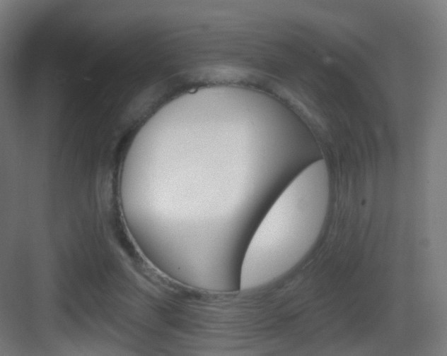X0000083530206200702090728